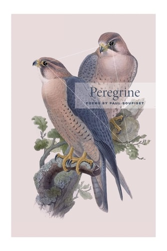 Peregrine Poems by Paul Soupiset
