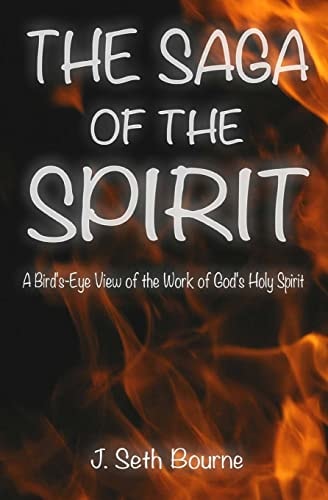The Saga of the Spirit A Bird's-Eye View of the Word of God's Holy Spirit