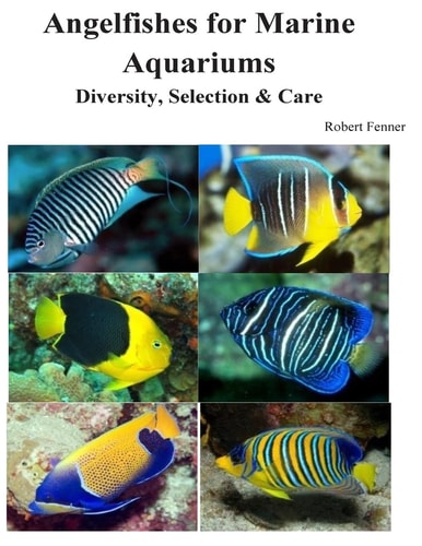 Angelfishes for Marine Aquariums Diversity, Selection and Care