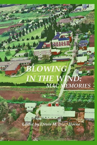 Blowing In The Wind MAC Memories