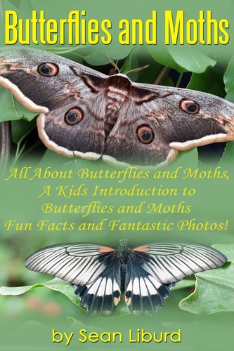 Butterflies and Moths All about Butterflies and Moths, a Kids Introduction to Butterflies and Moths-Fun Facts and Fantastic Photos!