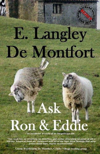 Ask Ron and Eddie An Incidental Account of an Insignificant Life