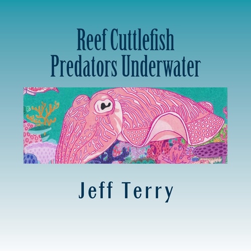 Reef Cuttlefish