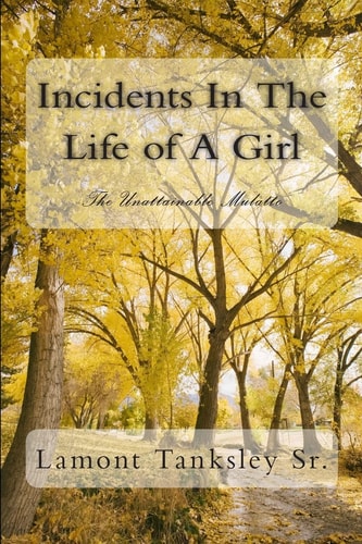 Incidents In The Life of A Girl The Unattainable Mulatto