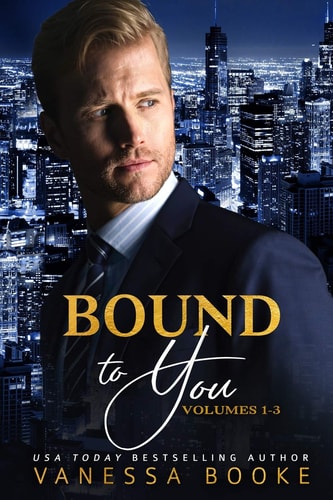 Bound to You: the Complete Novel Volumes 1-3