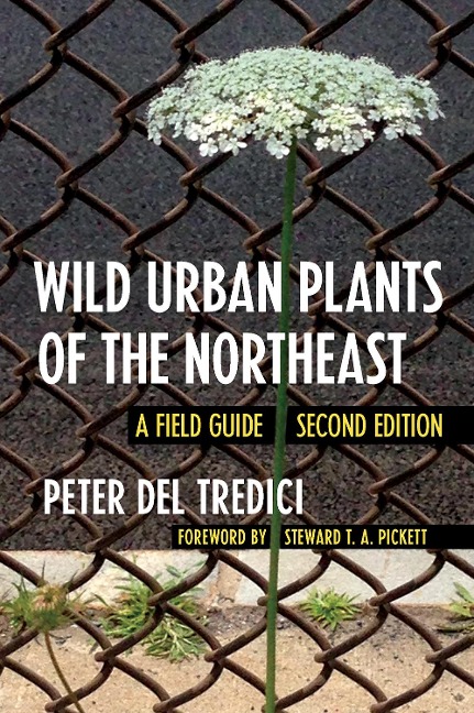 Wild Urban Plants of the Northeast: A Field Guide