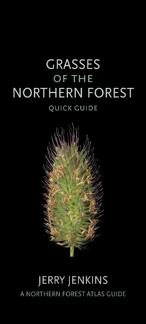 Grasses of the Northern Forest: Quick Guide