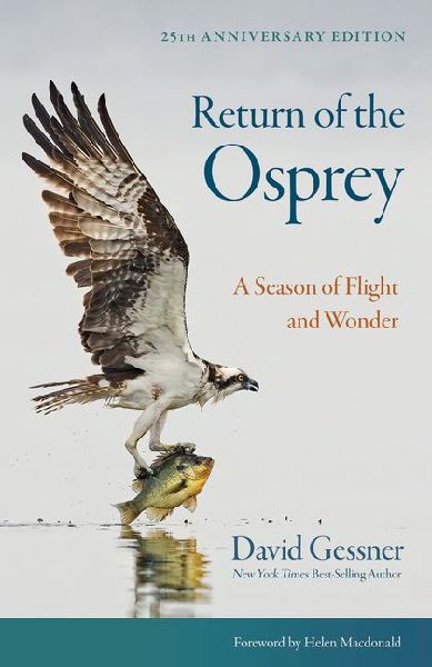 Return of the Osprey: A Season of Flight and Wonder