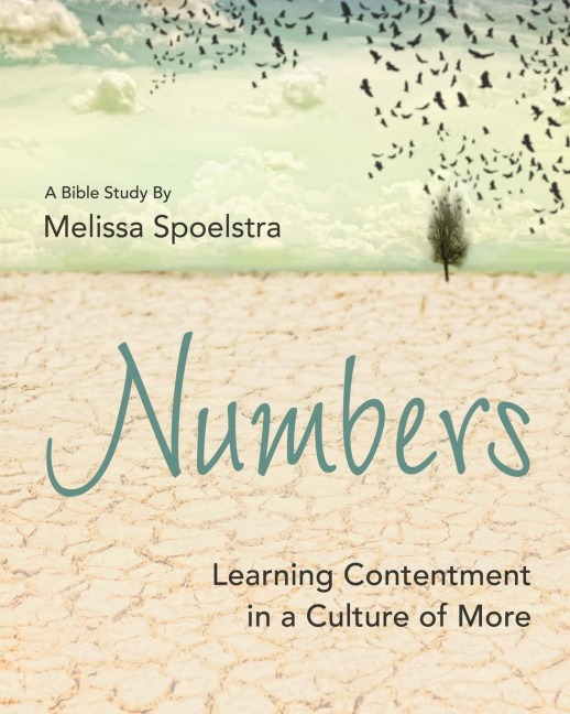 Numbers - Womens Bible Study Participant Workbook: Learning Contentment in a Culture of More