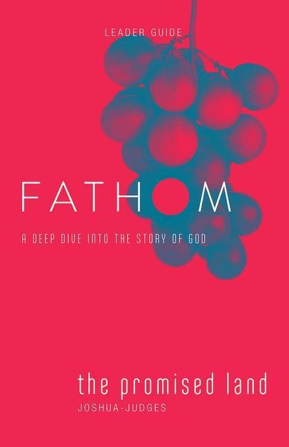 Fathom Bible Studies: The Promised Land Leader Guide (Joshua-Judges): A Deep Dive Into the Story of God