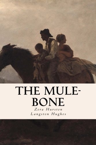 The Mule-Bone
