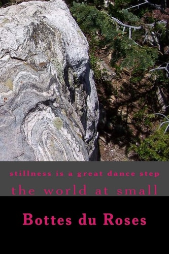 Stillness Is a Great Dance Step The World at Small