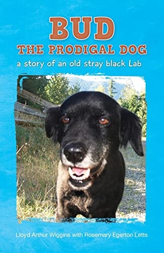 Bud The Prodigal Dog A Story of an Old Stray Black Lab
