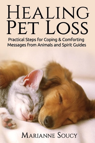 Healing Pet Loss Practical Steps for Coping and Comforting Messages from Animals and Spirit Guides