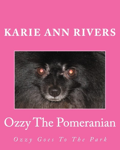 Ozzy The Pomeranian Ozzy Goes To The Park