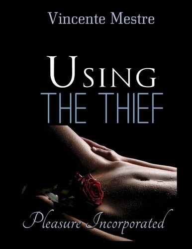 Using the Thief Large Print