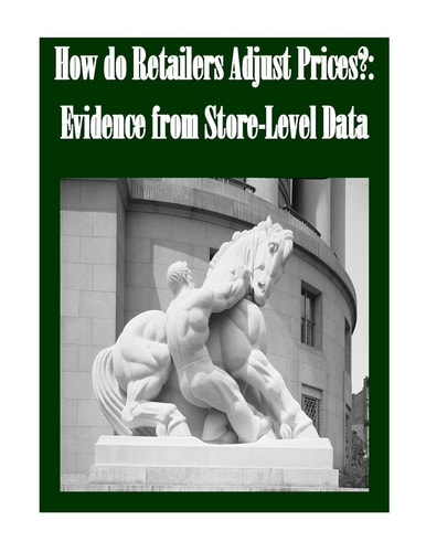 How Do Retailers Adjust Prices? Evidence from Store-Level Data
