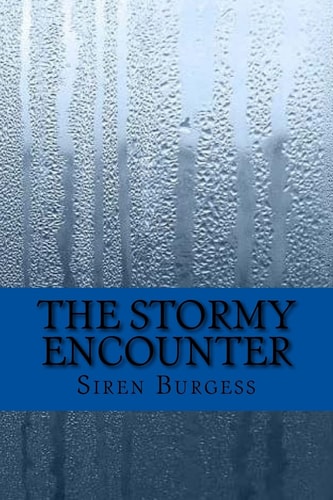 The Stormy Encounter