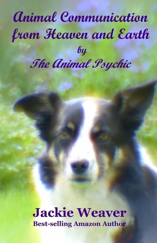 Animal Communication from Heaven and Earth By The Animal Psychic