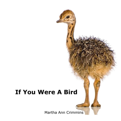 If You Were a Bird