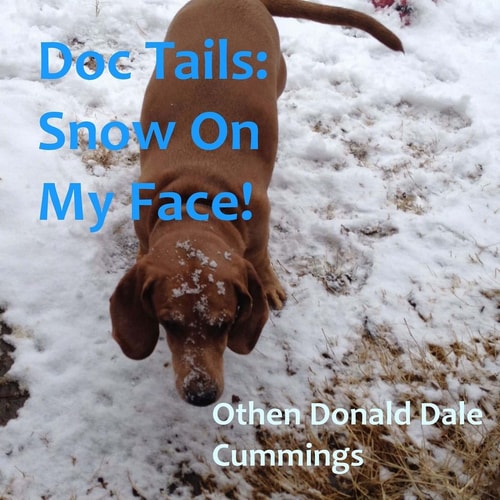 Doc Tails Snow On My Face!