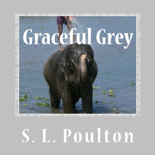 Graceful Grey Asian Elephants at Work and Play