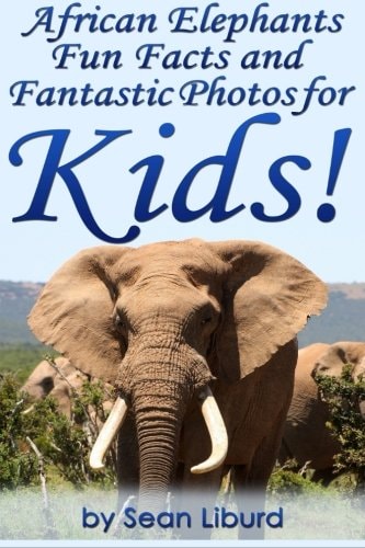 African Elephants Fun Facts and Fantastic Photos for Kids! Learn About African Animals