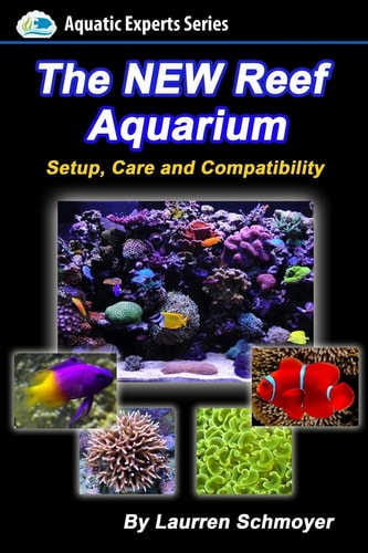 The New Reef Aquarium Setup, Care and Compatibility (+ Free Bonus Material)