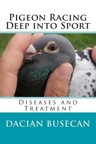 Pigeon Racing Deep Into Sport Diseases and Treatment