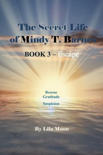 The Secret Life of Mindy T. Barnes - BOOK 3 - Escape Rescue, Gratitude, Suspicon