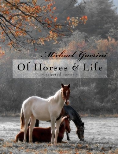 Of Horses and Life