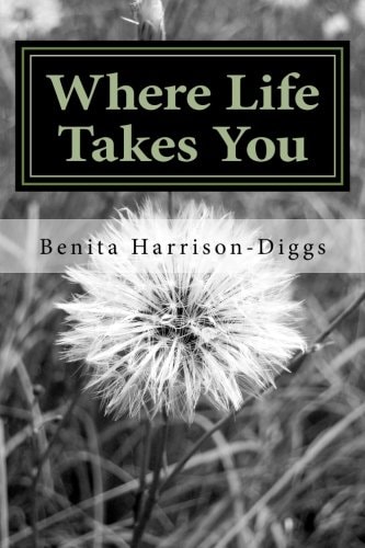 Where Life Takes You