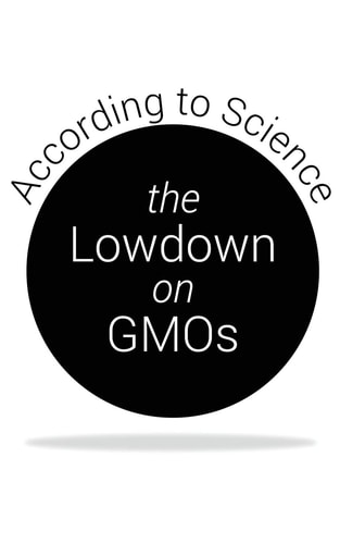 The Lowdown on GMOs According to Science