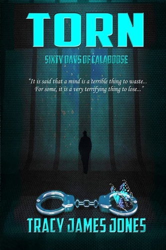 "Torn" Sixty Days of Calaboose : a Fictional Memooir (contemporary Psychological Drama)