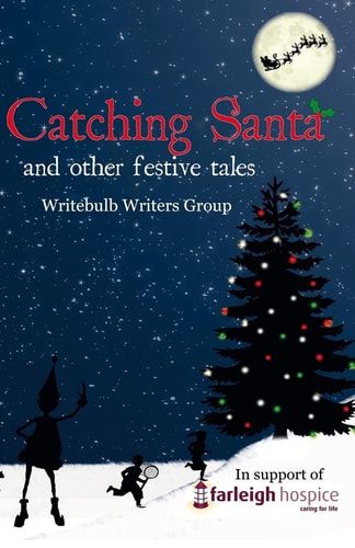 Catching Santa And Other Festive Tales