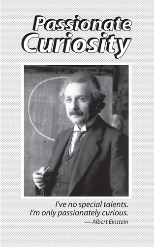 Passionate Curiosity