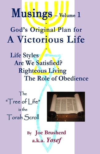 Musings Vol. #1 - a Victorious Life Musings - Vol. 1 a Victorious Life, God's Original Plan