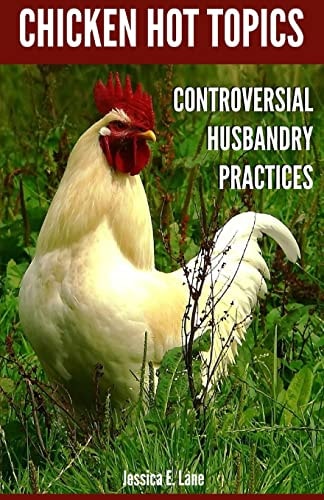 Chicken Hot Topics Controversial Husbandry Practices