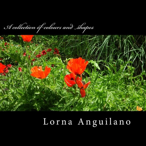 A Collection of Colours and Shapes Flowers from Around the World