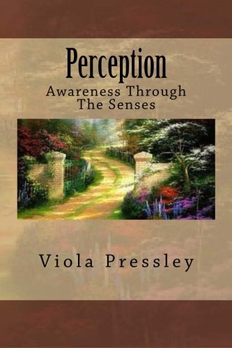 Perception Awareness Through The Senses