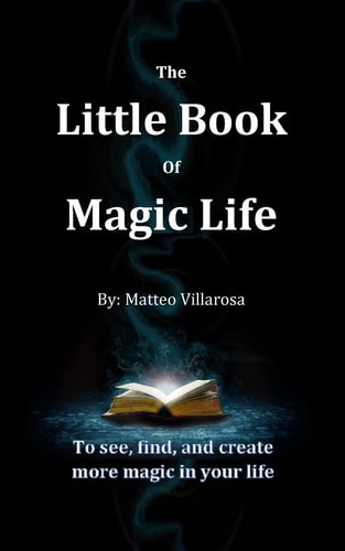 The Little Book of Magic Life