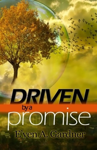 Driven by a Promise The Relentless Journey to Your Dream