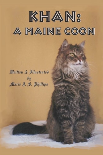 Khan A Maine Coon
