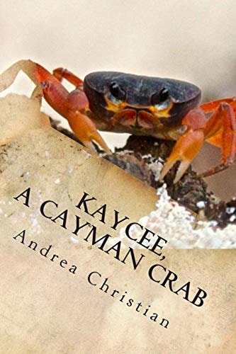 KayCee, a Cayman Crab
