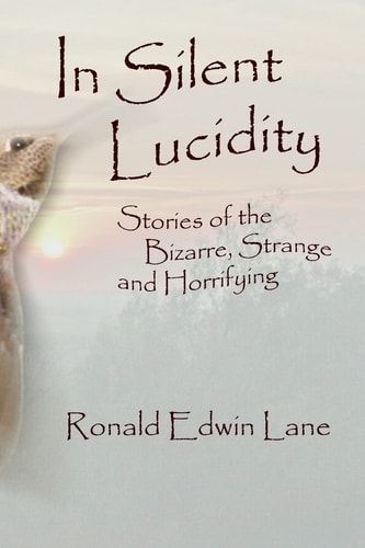 In Silent Lucidity