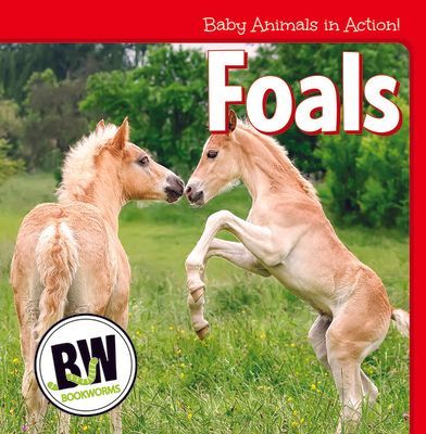 Foals