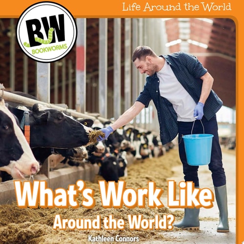 What’s Work Like Around the World?
