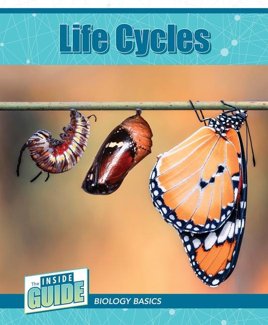 Life Cycles