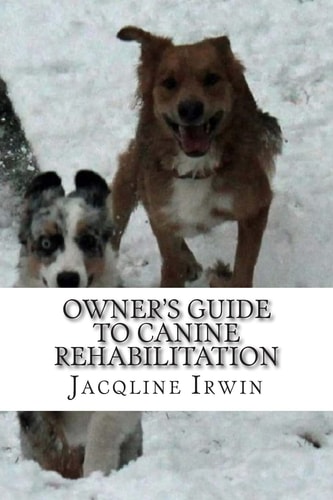 Owner's Guide to Canine Rehabilitation Recovery After Cranial Cruciate Surgery