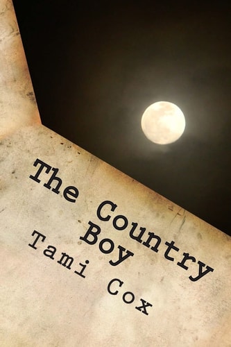 The Country Boy (Book III) Blue Moon Over Martinsburg Series